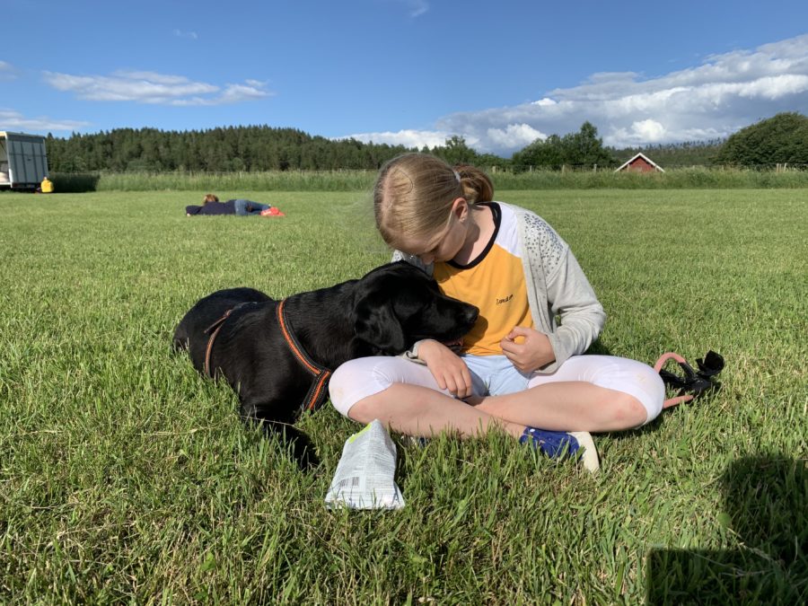 Barn&Hund sommerleir – sikre deg plass! hovedbilde