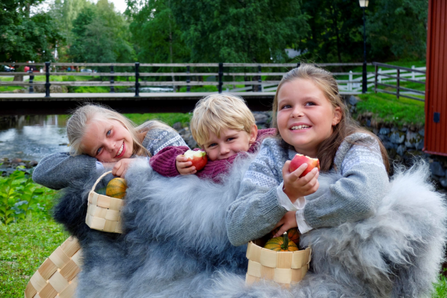 Høsttakkefest på Bærums Verk hovedbilde