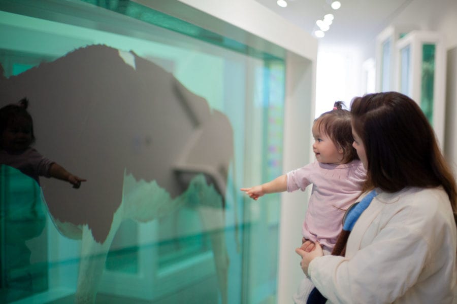 Babyomvisning på Astrup Fearnley Museet hovedbilde