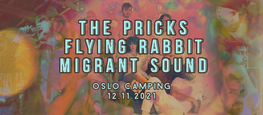 The Pricks // Flying Rabbit // Migrant Sound DJs hovedbilde