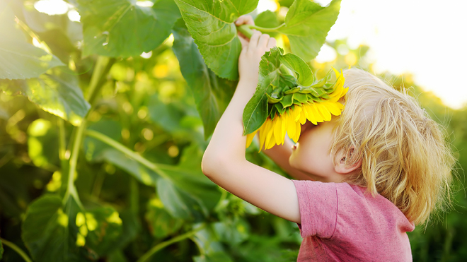Botanikk for barn: Så et frø hovedbilde
